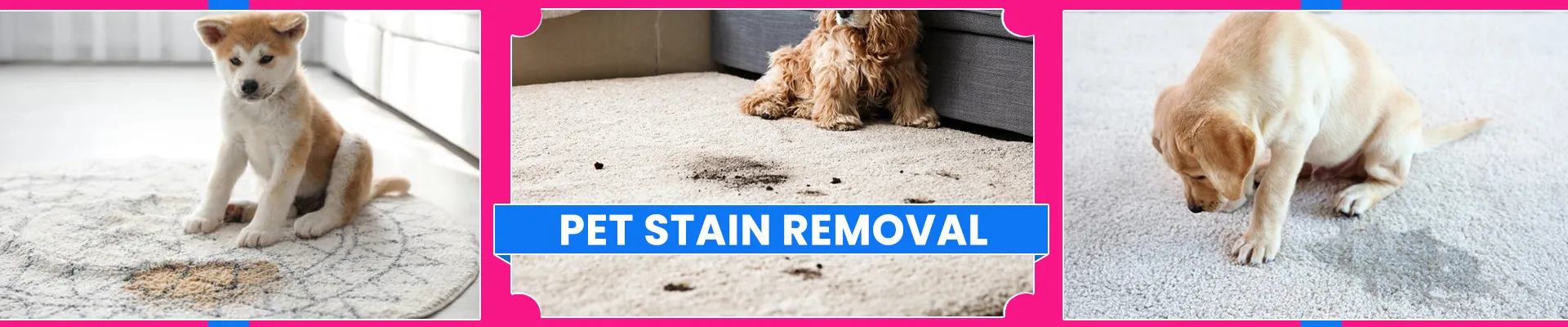 carpet cleaning in bronx, carpet cleaning in bronx, carpet cleaning bronx, carpet cleaners in bronx, carpet cleaners in bronx, commercial carpet cleaning, commercial carpet cleaning in bronx, bronx rug cleaners, rug cleaning services in bronx, same day carpet cleaning, same day rug cleaning